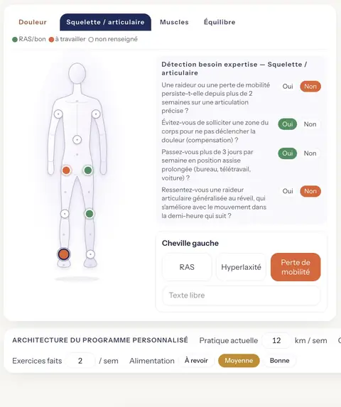 L'outil de bilan : une silhouette où chaque zone mesurée est marquée